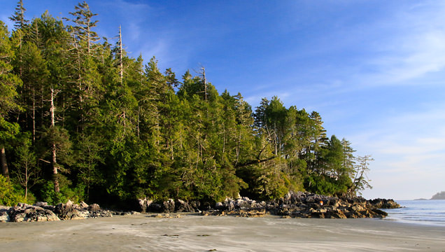 Tonquin Trail: A Relaxing, Kid-Friendly Tofino Beach Walk